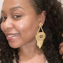 Load image into Gallery viewer, Aster