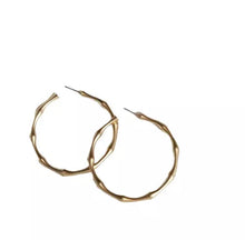 Load image into Gallery viewer, Classy Bamboo Earrings