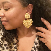 Load image into Gallery viewer, Insignia