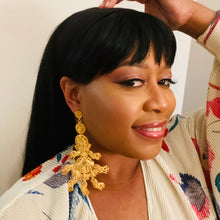 Load image into Gallery viewer, Ara