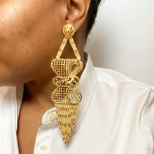 Load image into Gallery viewer, Taenia